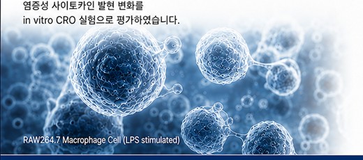 RAW264.7 대식세포 현미경 이미지