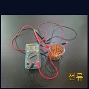 QELBY EZ Water 미세전류 측정계
