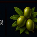 나리루틴
