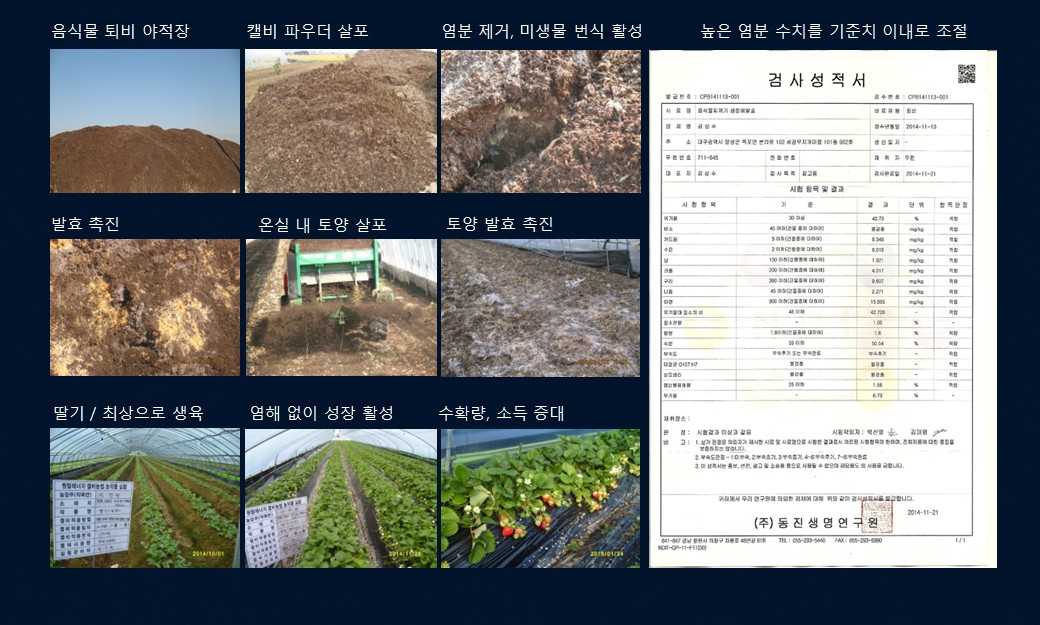 음식물 퇴비 야적장, 캘비 파우더 살포, 딸기 생육 사진 9장 및 동진생명연구원 검사성적서
