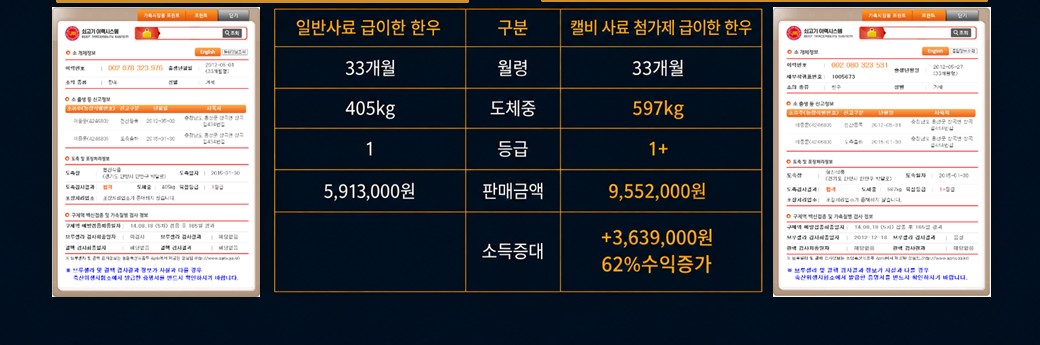 일반사료 급이 한우(405kg, 1등급, 5,913,000원)와 캘비 사료첨가제 급이 한우(597kg, 1+등급, 9,552,000원) 비교표, 소득증대 +3,639,000원 62% 수익증가